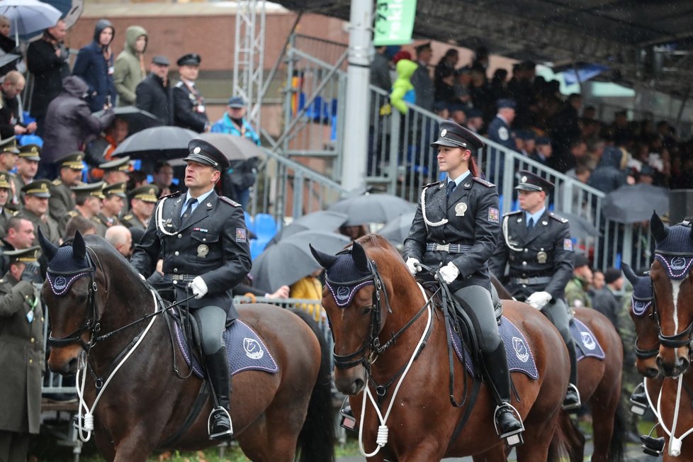 Martin Hrinko koordinoval přehlídku a ukázku policejních sil a prostředků v rámci Dne oslav 100 let vzniku ČSR v Praze na Evropské třídě 28. 10. 2018.