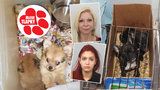 Pražské překupnice nemocných psů v tom nejsou samy: Je to hnusný rodinný kšeft