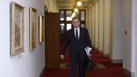 Premiér Nečas na posledním jednání jeho vládního kabinetu 3. července 2013