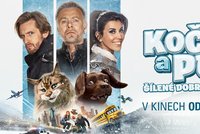Kočka a pes: Šílené dobrodružství. Nejchlupatější komedie pro celou rodinu