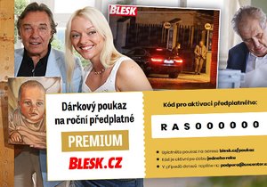 Nadělte Blesk Premium jako dárek pod stromeček