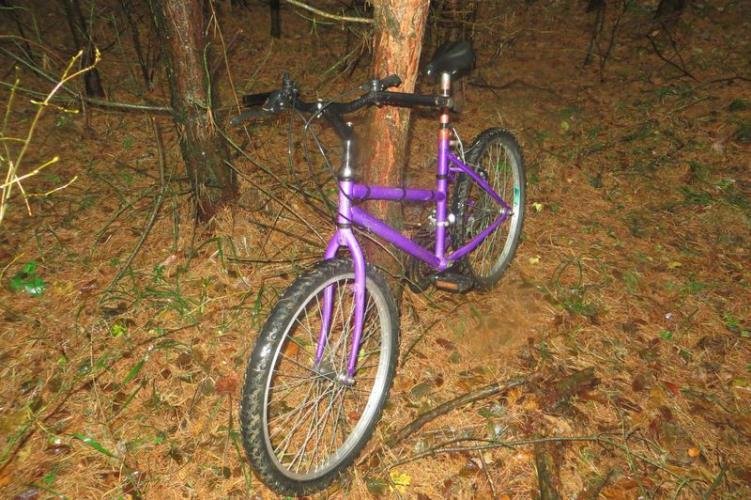 Policisté při ohledání okolí místa přepadení našli bicykl.