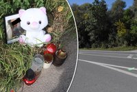 Aničku a Elišku (obě †15) v Přerově srazilo auto: Silnici smrti zavřou kvůli rekonstrukci!