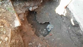 Hasiči na Přerovsku zachraňovali pejska z kanálu: Museli vykopat jámu a trubku rozebrat.