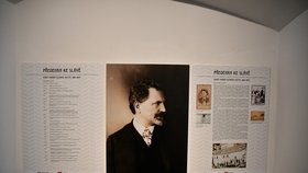 Výstavu o raných uměleckých letech Alfonse Muchy  zhatilo uzavření muzea kvůli nákaze koronavirem.