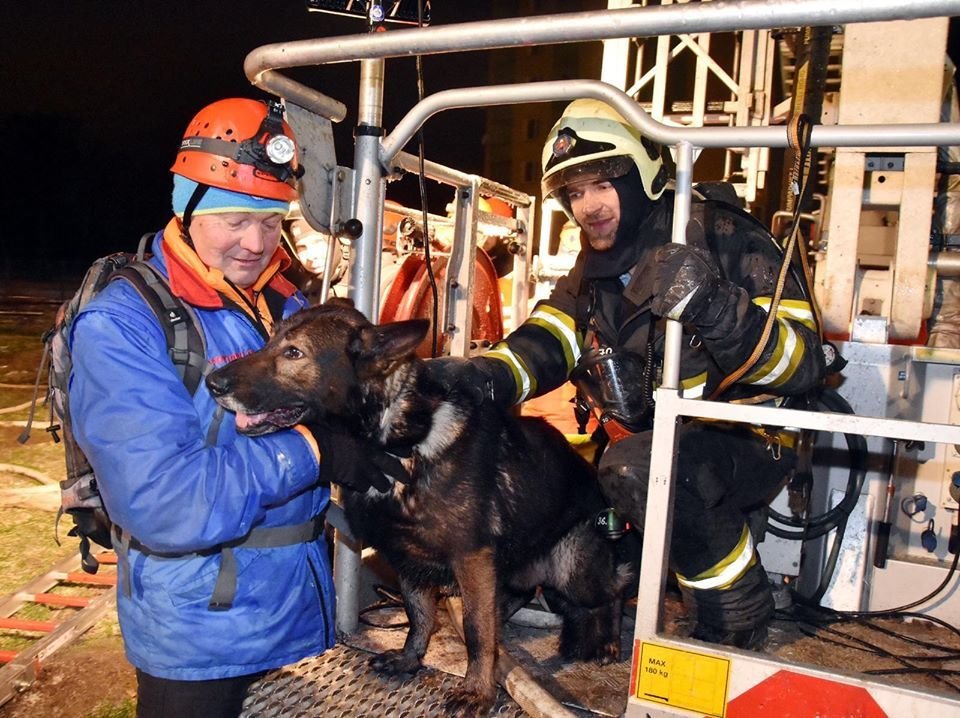 Dům zničený výbuchem prohledávali také záchranáři se psy