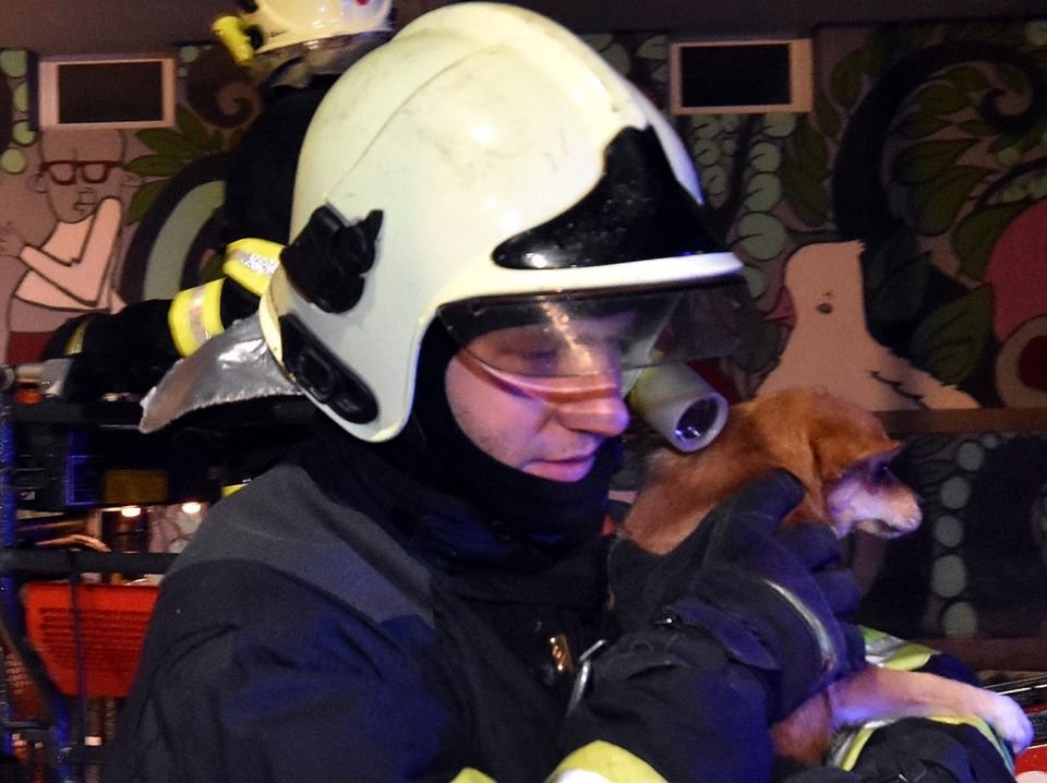 Dům zničený výbuchem prohledávali také záchranáři se psy