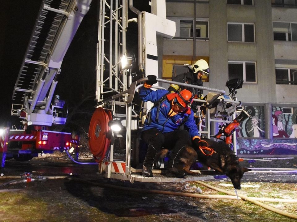 Dům zničený výbuchem prohledávali také záchranáři se psy