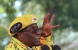 Prezident Zimbabwe Robert Mugabe