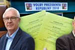 Češi si ve volbách vybírali mezi Jiřím Drahošem a Milošem Zemanem.