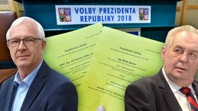 Češi si ve volbách vybírali mezi Jiřím Drahošem a Milošem Zemanem.