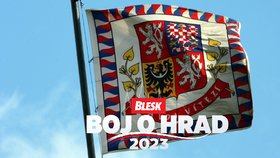 Co vše může český prezident? Podívejte se na pravomoci hlavy státu
