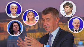 Kdo nakonec půjde do prezidentské kandidatury? Skloňují se jména jako Babiš, Petr Pavel, Miroslava Němcová, Danuše Nerudová či senátoři Hilšer a Fischer