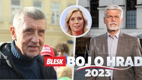 Den D pro prezidentské kandidáty: Kdo se zapojí do boje o Hrad? 