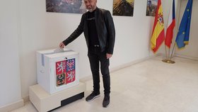 Volby Čechů v zahraničí