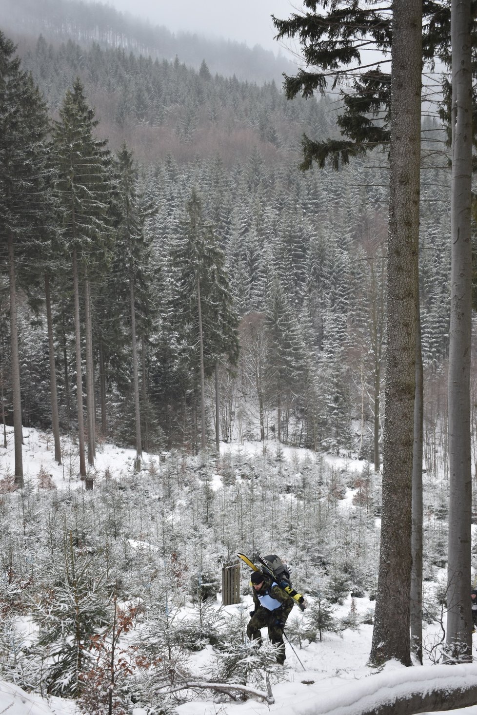 Drsný armádní závod Winter Survival probíhal v Jeseníkách.