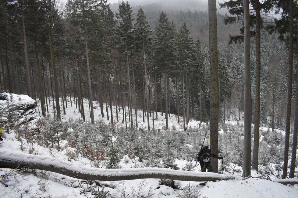 Drsný armádní závod Winter Survival probíhal v Jeseníkách.