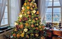 Vánoční výstava Příběh vánočního stromečku na zámku Loučeň