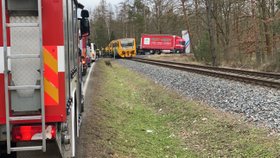 Drsná srážka kamionu s houkajícím vlakem: Řidiči za to hrozí pět let vězení!