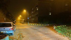Po hádce dvou mužů na ulici Bratří Čapků v Příbrami skončil jeden z nich postřelený.