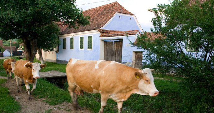 Atmosféra rumunského venkova v Transylvánii prince Charlese uchvátila. Prý snad už nikde na světě nic tak originálního a neporušeného neexistuje