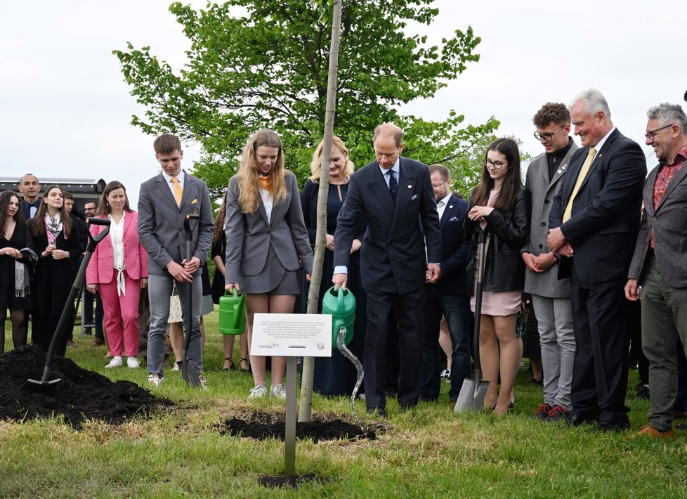 Princ Edward ve Vestci zasadil poslední strom Aleje prince Philipa – na otcovu počest (24. 5. 2023).