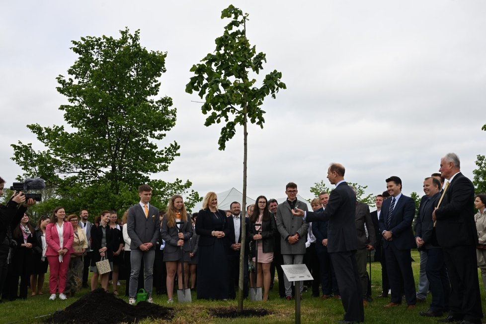 Princ Edward ve Vestci zasadil poslední strom Aleje prince Philipa - na otcovu počest (24. 5. 2023).