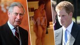 Princ Harry na koberečku U Charlese: Kvůli nahým fotkám!