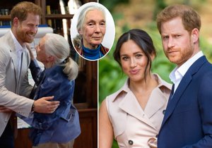 Harry s Meghan oplakávají slavnou bioložku Jane Goodall