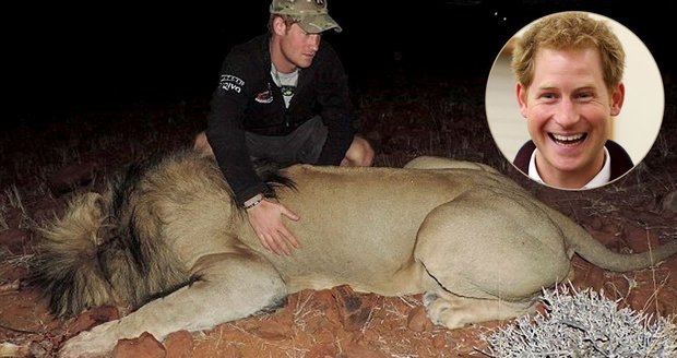 Princ Harry pomáhá v Africe: Bojuje proti pytlákům a pomáhá monitorovat lvy