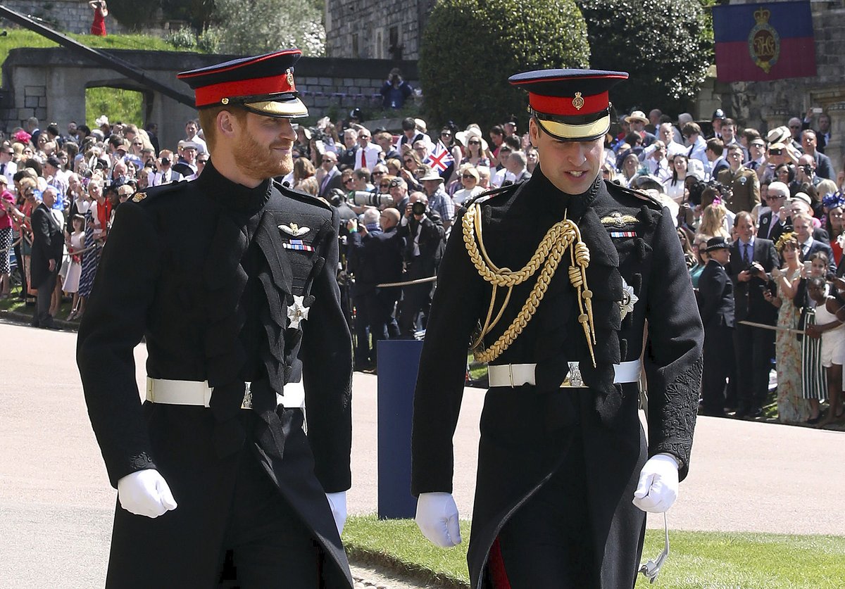 Princ Harry a William