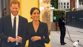 Venčila Meghan svého pejska před Kensingtonským palácem?