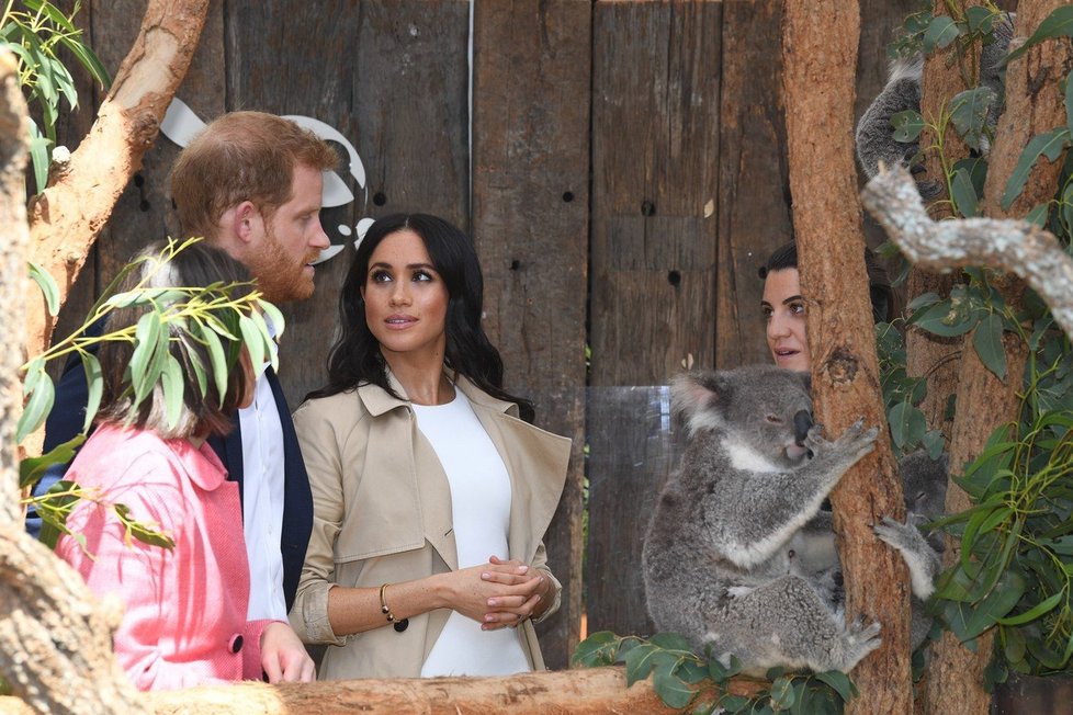 Harry a Meghan v Targona zoo