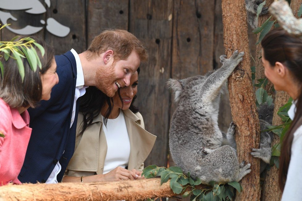 Harry a Meghan v Targona zoo