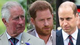 Princ Harry promluvil o svém vztahu s Charlesem a bratrem Williamem.