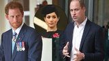 Konec bratrů! Harry s Williamem půlí domácnost i služebnictvo: Může za to Meghan