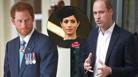 Princ Harry se na přání Meghan nezúčastní tradičního vánočního honu! Princ William zuří