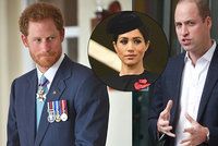 Princ Harry se na přání Meghan nezúčastní vánočního honu! Princ William zuří