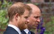 Princ Harry a princ William na odhalení sochy jejich matky Diany