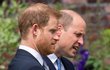 Princ Harry a princ William na odhalení sochy jejich matky Diany