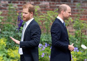 Princ Harry a princ William na odhalení sochy jejich matky Diany