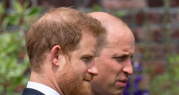 Princ Harry a princ William na odhalení sochy jejich matky Diany