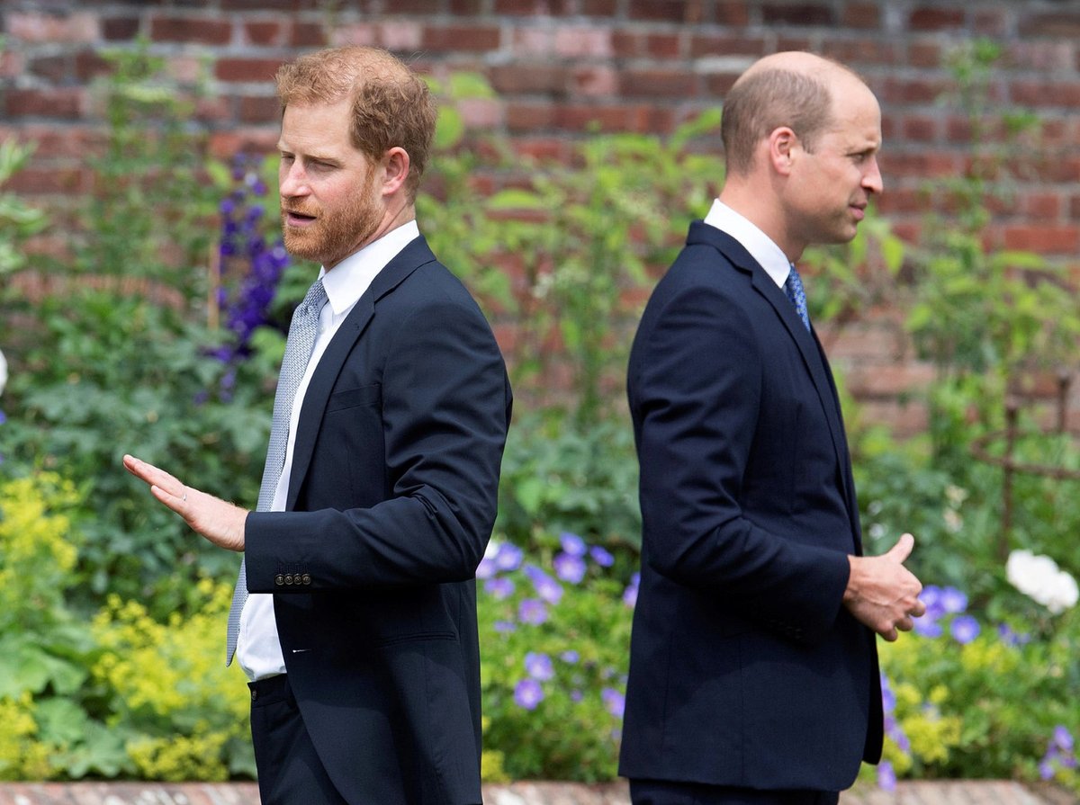 Princ Harry a princ William na odhalení sochy jejich matky Diany