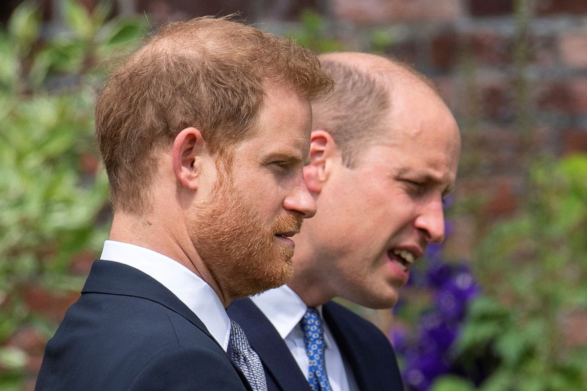 Princ Harry a princ William na odhalení sochy jejich matky Diany