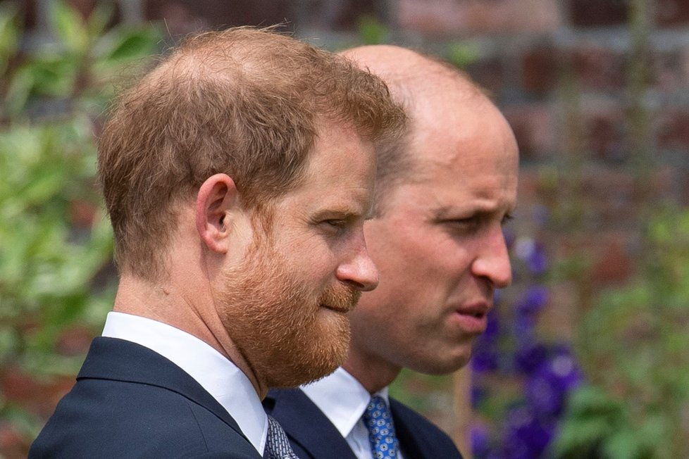 Princ Harry a princ William na odhalení sochy jejich matky Diany