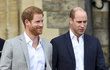 Princové Harry a William