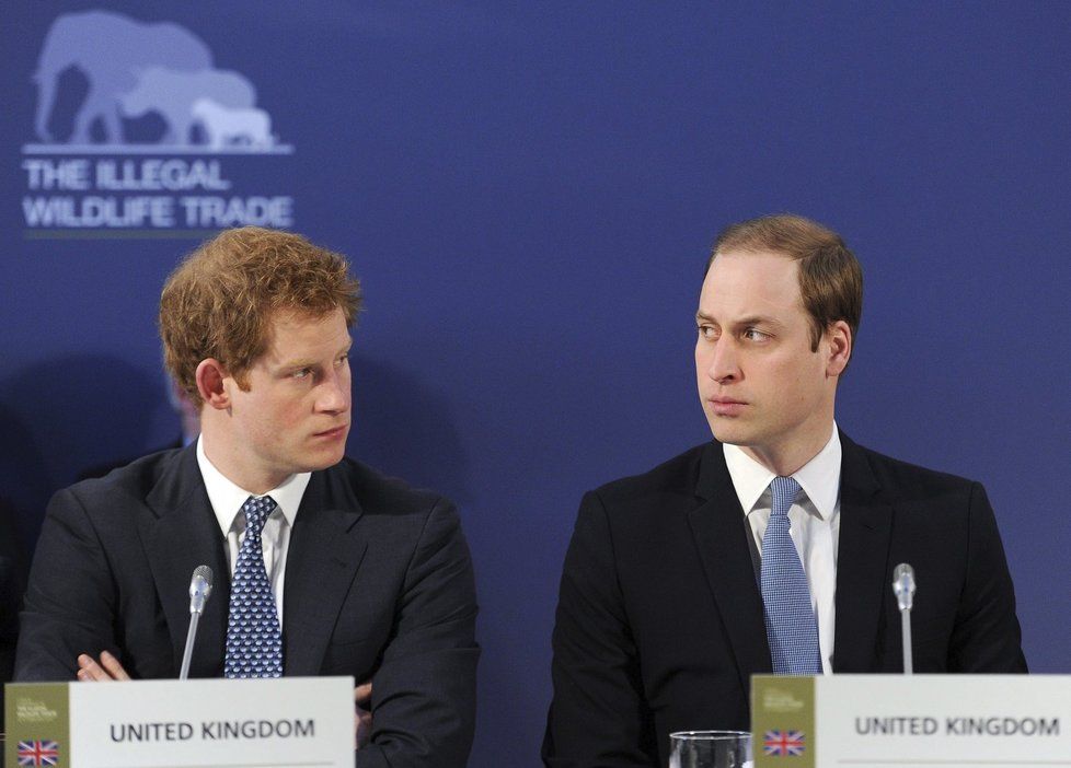 Princ Harry se společně se svým bratrem zúčastnili konference organizace na ochranu ohrožených druhů.