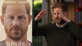 Vydání Harryho šokující knihy za rohem: Varování od krále! A útok na Williama i Kate