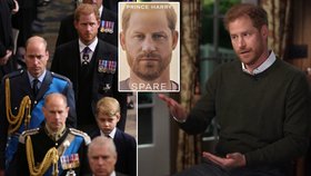 Poděkování prince Harryho v knize Spare budí rozpaky