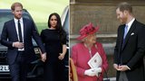 Nejsmutnější Harryho narozeniny: Tajná hořkosladká oslava s Meghan! A posmrtná zpráva od Alžběty?